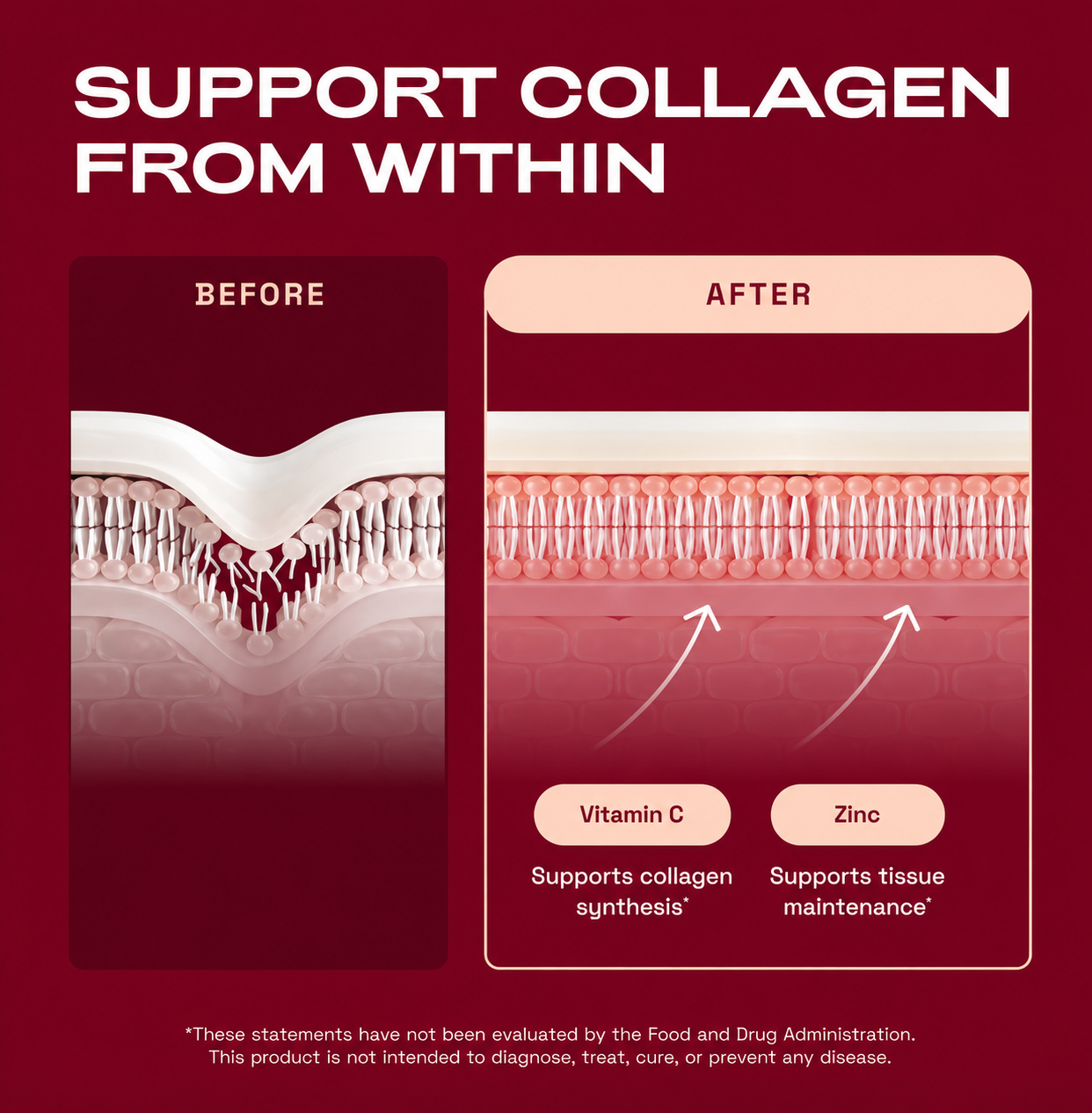 Vitomics® Beauty Powered by Cellular Energy
